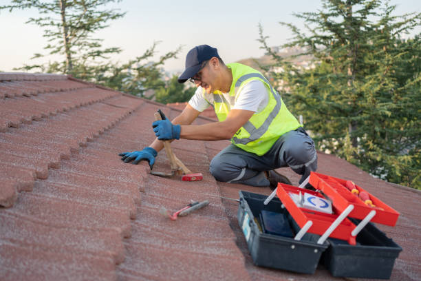 Best Roof Gutter Cleaning  in Tehaleh, WA